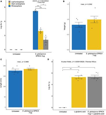 Endophytic Streptomyces population induced by L-glutamic acid enhances plant resilience to abiotic stresses in tomato